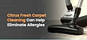 Citrus Fresh Can Help Eliminate Allergies