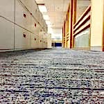 Commercial Carpet Cleaning