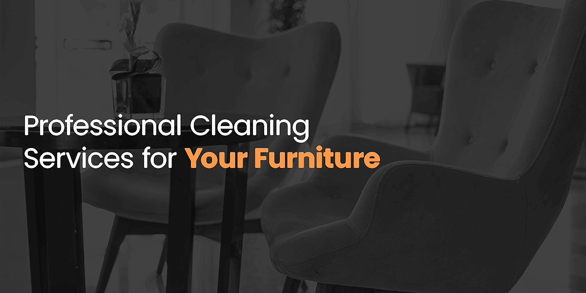 Professional carpet cleaning services for your furniture